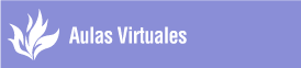 Plataformas Virtuales